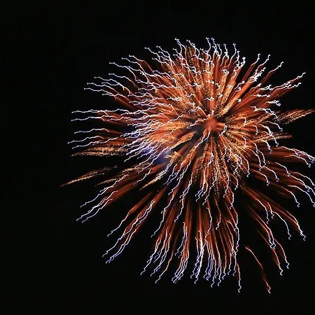 Al Mare 3* Lido di Jesolo